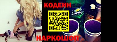 индика Камень-на-Оби