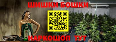 индика Камень-на-Оби