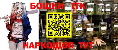 индика Камень-на-Оби