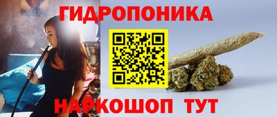 индика Камень-на-Оби