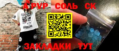 индика Камень-на-Оби