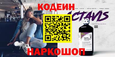 индика Камень-на-Оби