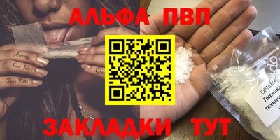 индика Камень-на-Оби