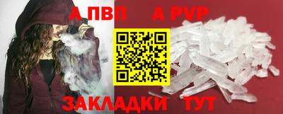 индика Камень-на-Оби