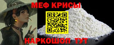 индика Камень-на-Оби