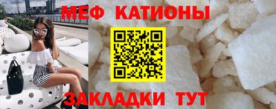 индика Камень-на-Оби