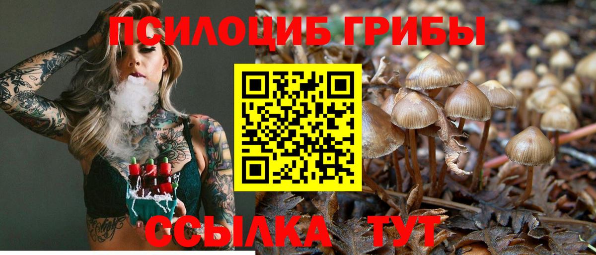 Галлюциногенные грибы Psilocybine cubensis  Вход с VPN  Новокубанск 